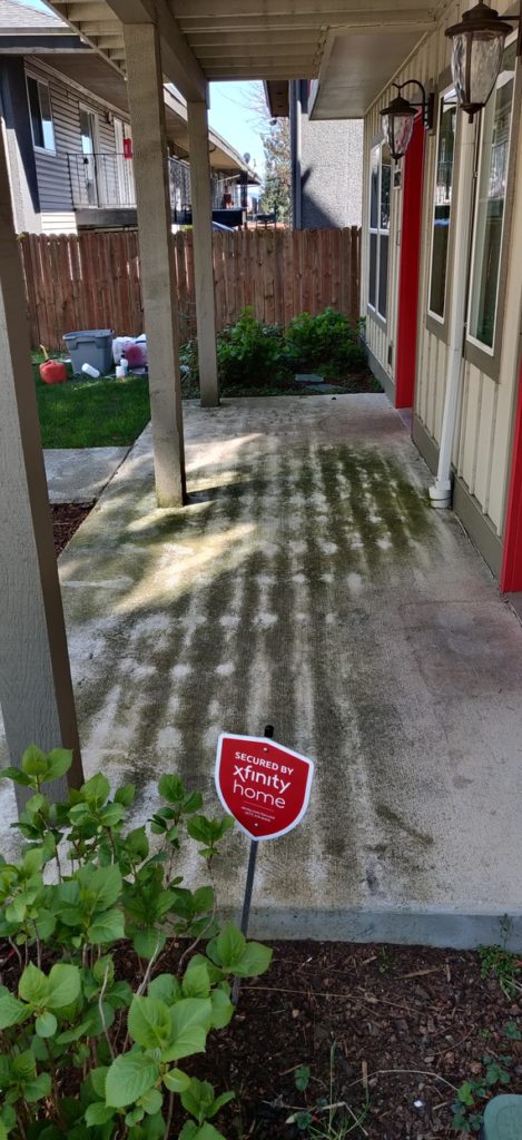 This patio had a lot of mineral staining and organic growth that had eaten away the top layer of concrete. While the surgace was damaged by the stains, we think it came out looking REALLY decent once the organic and mineral stains were removed!