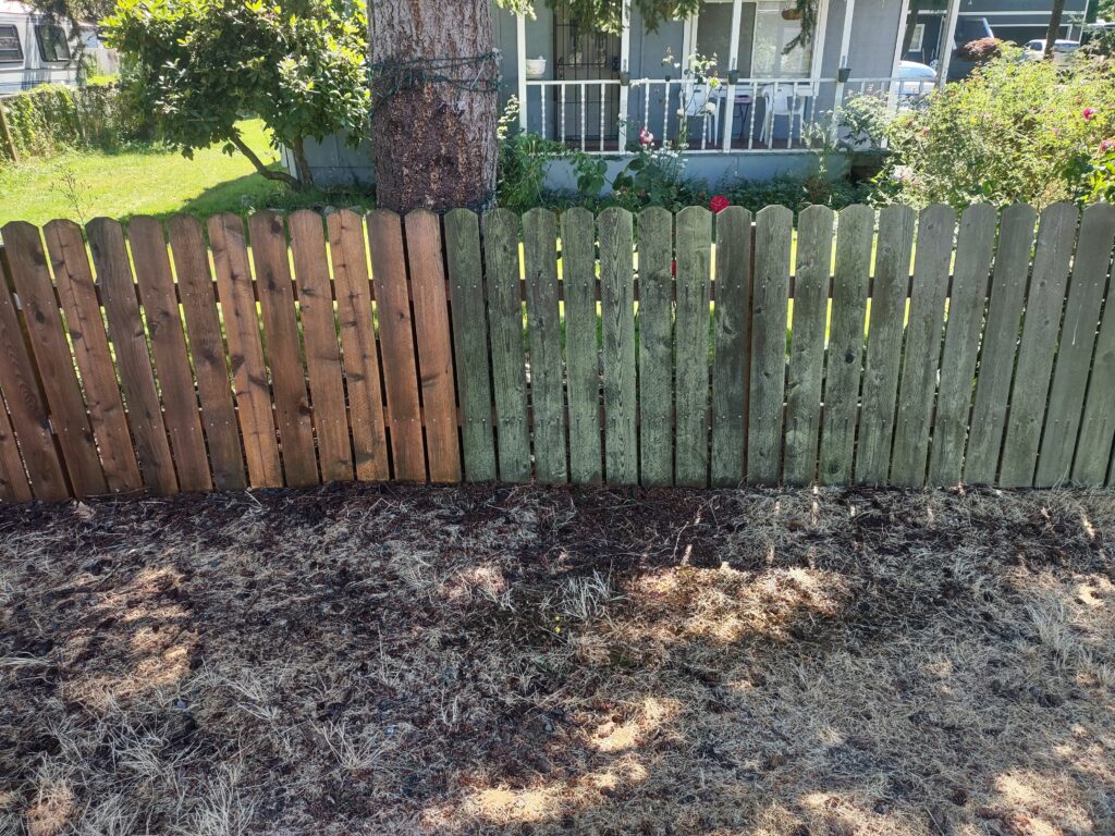A wood fence, half restored.